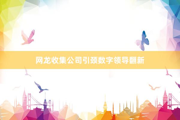 网龙收集公司引颈数字领导翻新