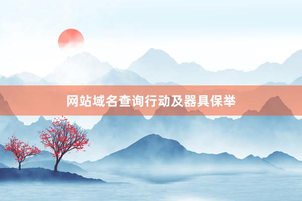 网站域名查询行动及器具保举