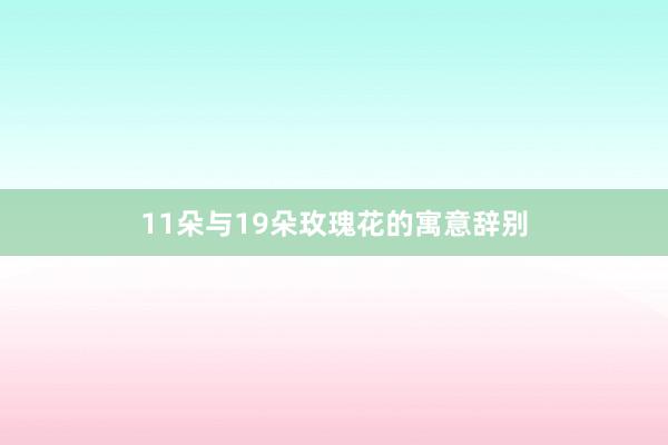 11朵与19朵玫瑰花的寓意辞别
